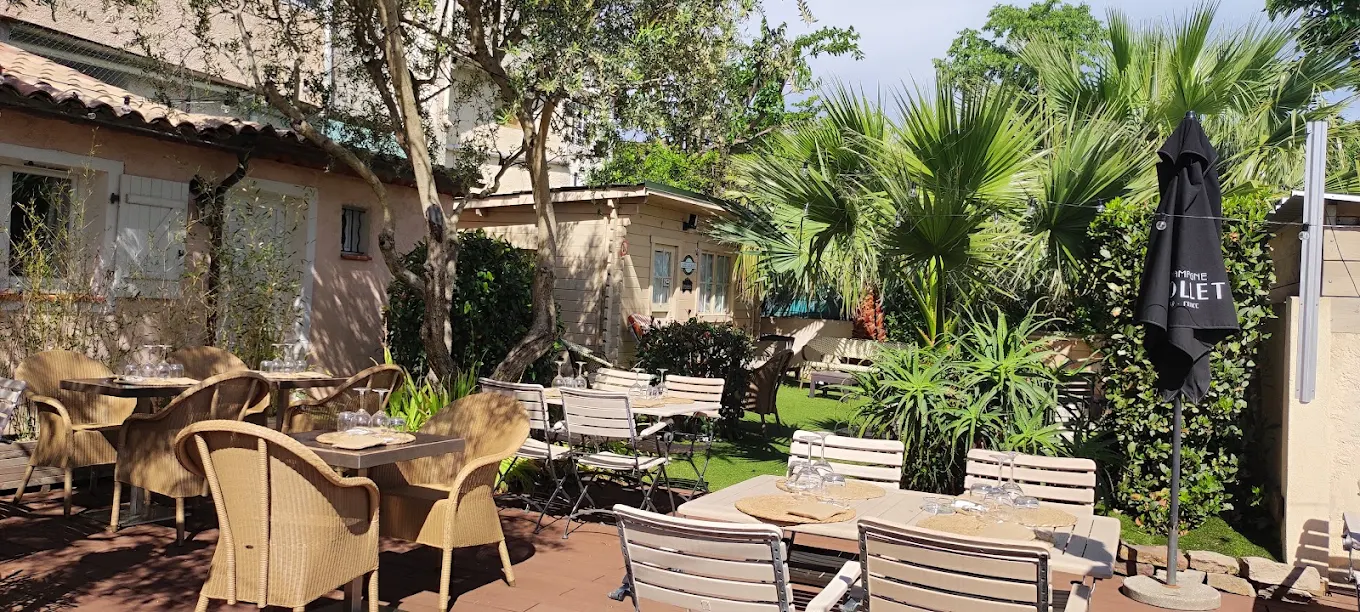 Terrasse de Longo Mai sous les oliviers